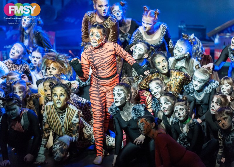 Cats, 2016 (Youth)